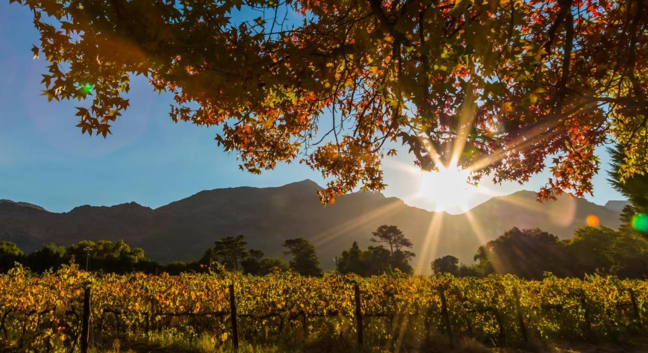 Le Manoir De Brendel Bed and Breakfast Franschhoek Buitenkant foto
